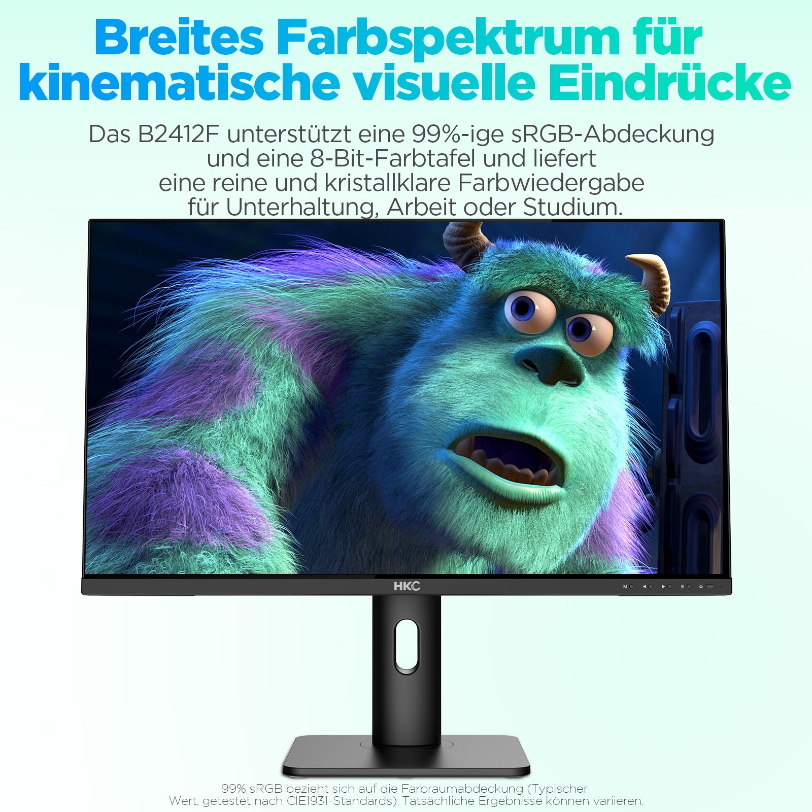 HKC B2412F