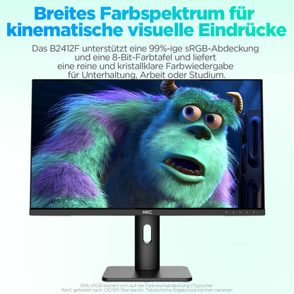 HKC B2412F